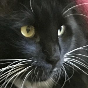 Meet your Posher, Marianne